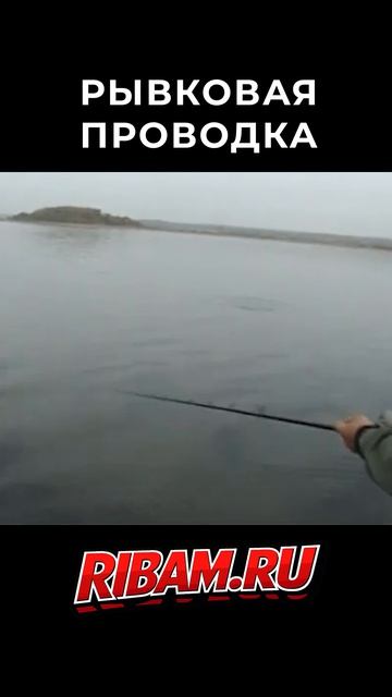 ЩУКА НА МОРКОВКУ! Как поймать щуку на самодельную приманку смотреть онлайн