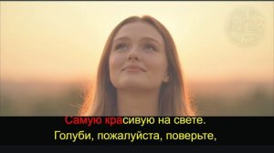 Голуби целуются на крыше