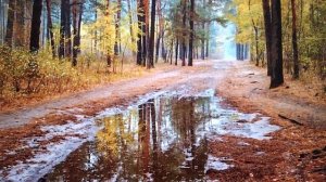 НОСТАЛЬГИЯ ПЕРВЫХ ЭМИГРАНТОВ, БЕЛОГВАРДЕЙЦЕВ =ЗДЕСЬ ПОД НЕБОМ ЧУЖИМ= ПОЁТ ВАСЯ ПОПОВ, БЕЗ МУЗ ОБР.