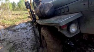 Один день работы в лесу 3