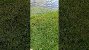 2 часть рыбалка на озере большое прокошево на карася.