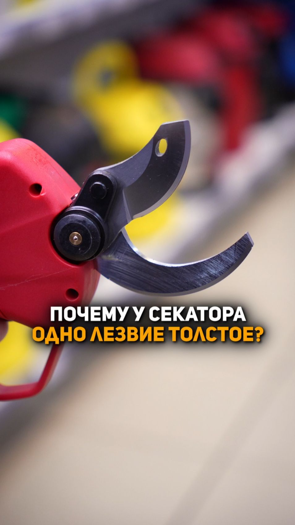 🌿 WORTEX CBS 2535-1: Точность и контроль для сада смотреть онлайн