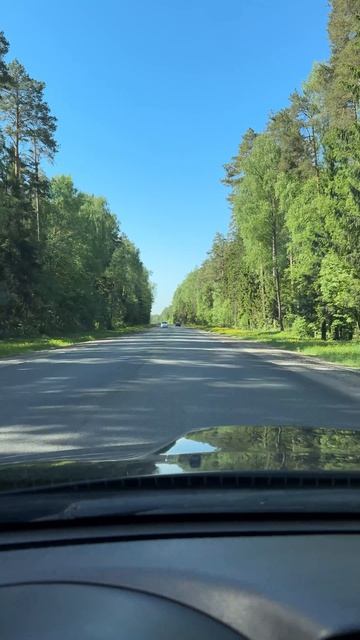 Приехал на рыбалку, а там...