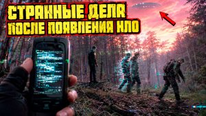 В лесах Западной Вирджинии из-за появления НЛО очевидцы столкнулись с массовыми аномалиями