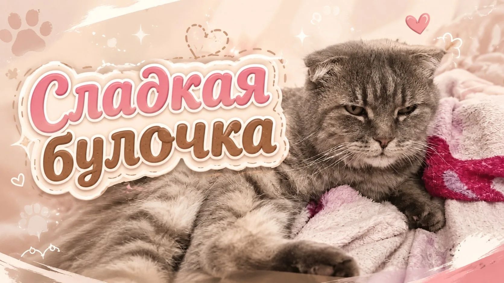 Кот Багет - моя сладкая булочка