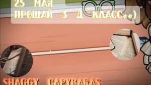 — 25.05.2026 ,прощай 3 Д 🥹# Шортсы 🌊# авик 🤘🏽