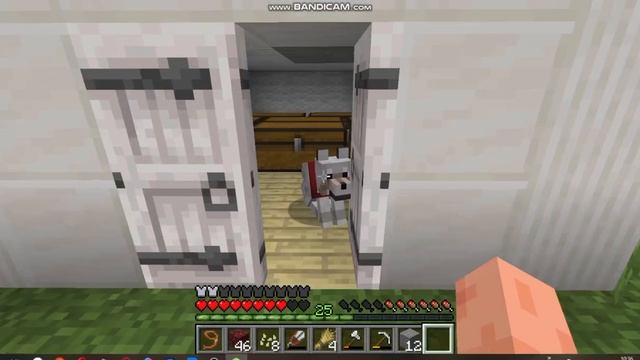 обзор на мой Minecraft мир выживание