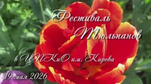 Фестиваль Тюльпанов в ЦПКиО имени Кирова на Елагином острове Санкт-Петербурга. 19 мая 2026. Утро