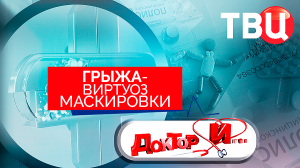 Грыжа – виртуоз маскировки. Доктор И...