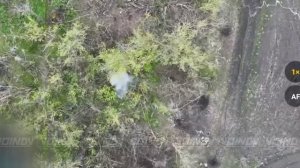 Воины-дальневосточники бескомпромиссно уничтожили группу пехоты ВСУ в Днепропетровской области🤙🇷🇺