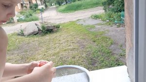 ЛИЗА-5лет.10мес(24мая2026г)