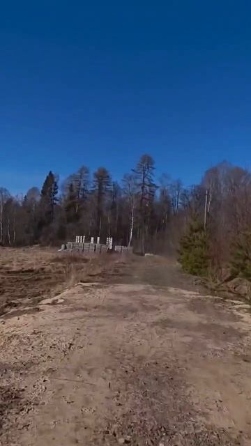139973.mp4