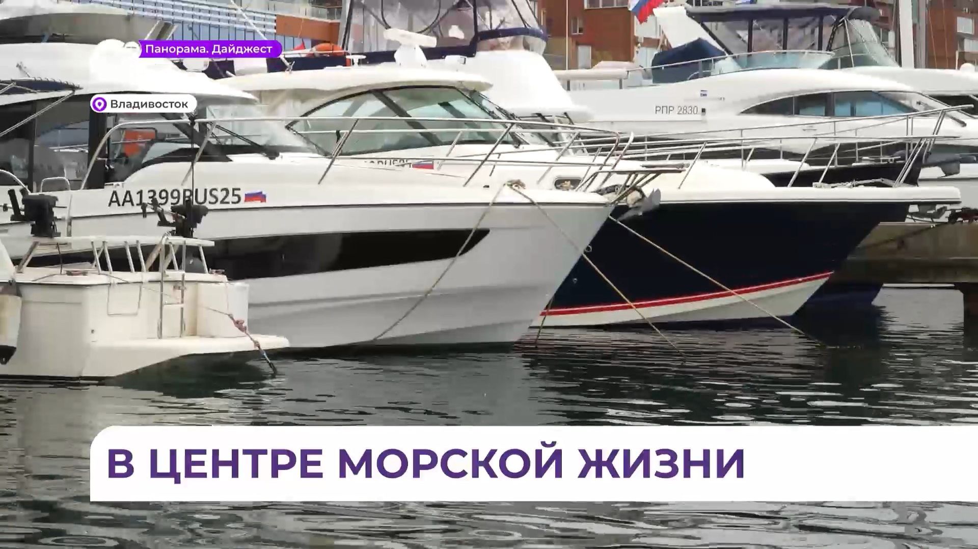 Выставка «Vladivostok Boat Show» прошла во Владивостоке
