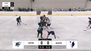 Золотая шайба «Акулы» — «АК БУРЕ» 25.05.26