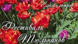 Фестиваль Тюльпанов в ЦПКиО имени Кирова на Елагином острове 18 мая 2026