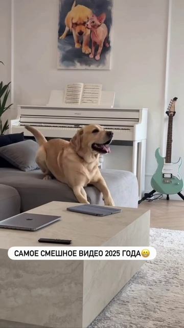 COOLCLIPS_190_подписывайся смотреть онлайн