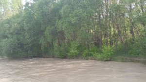 Река Подкумок после дождей 25.05.2026 #Кисловодск
