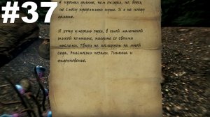 ▶The Elder Scrolls V: Dawnguard. Прикосновение к небу. Выжить в Вечернем проходе. #37