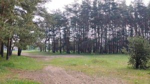 «Предательство» в работе по найму в организации