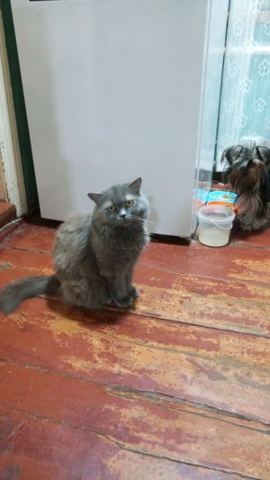 улица