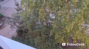 295/ Дома тоже нужно поработать../ Покупки с wb/ Что на ужин..