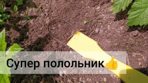 Отличный инструмент для прополки. Моя находка, не реклама