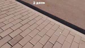99 ночей в лесу в реальной жизни