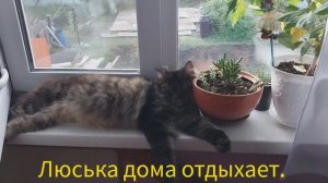 Доброе утро добрым людям!🌞