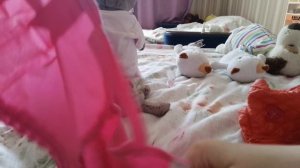утро с басиками 😻😻😻