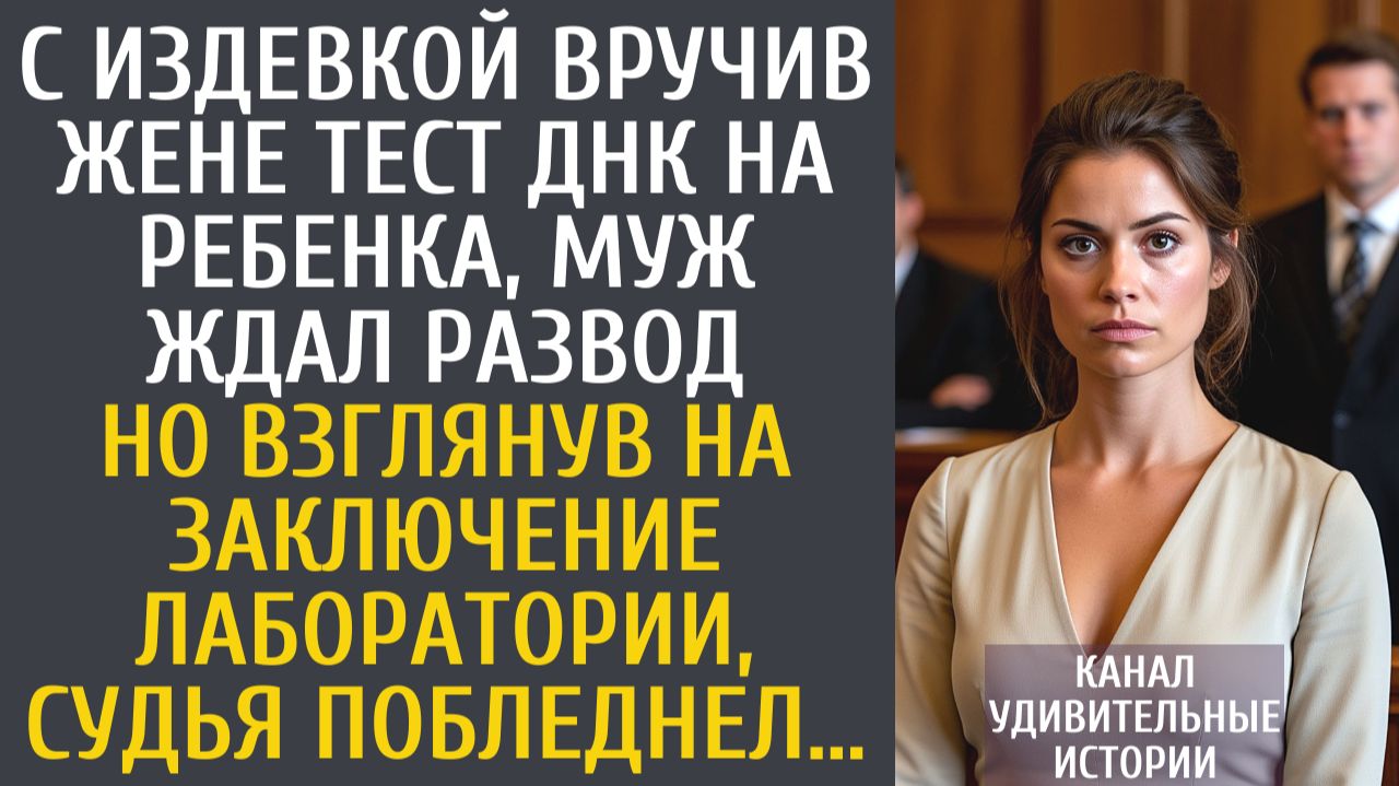 Истории из жизни С издевкой вручив жене тест ДНК на ребенка, муж ждал развод… Но взглянув, судья…