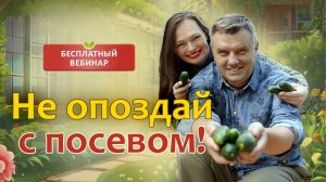 Сроки посева овощей: 3 ошибки и один рабочий принцип
