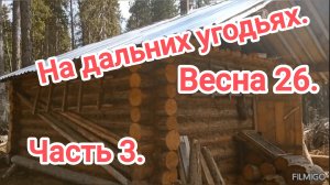 На дальних угодьях. Весна 26. Часть 3.