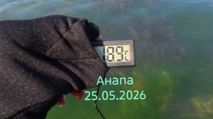 Анапа 25.05.2026 Дикий пляж