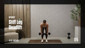 Day 2 - 45 min Lower Body Strength Heather Robertson - Stride