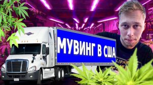 Все серии ! / Мувинг в США / Гроубокс – новый бизнес? / Акрушер 1.18