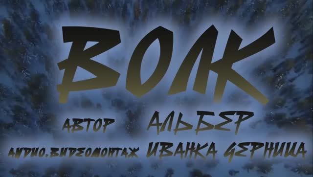 ВОЛК   Альбер           Иванка Черница