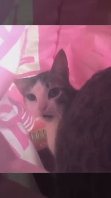 Жрешь? смотреть онлайн