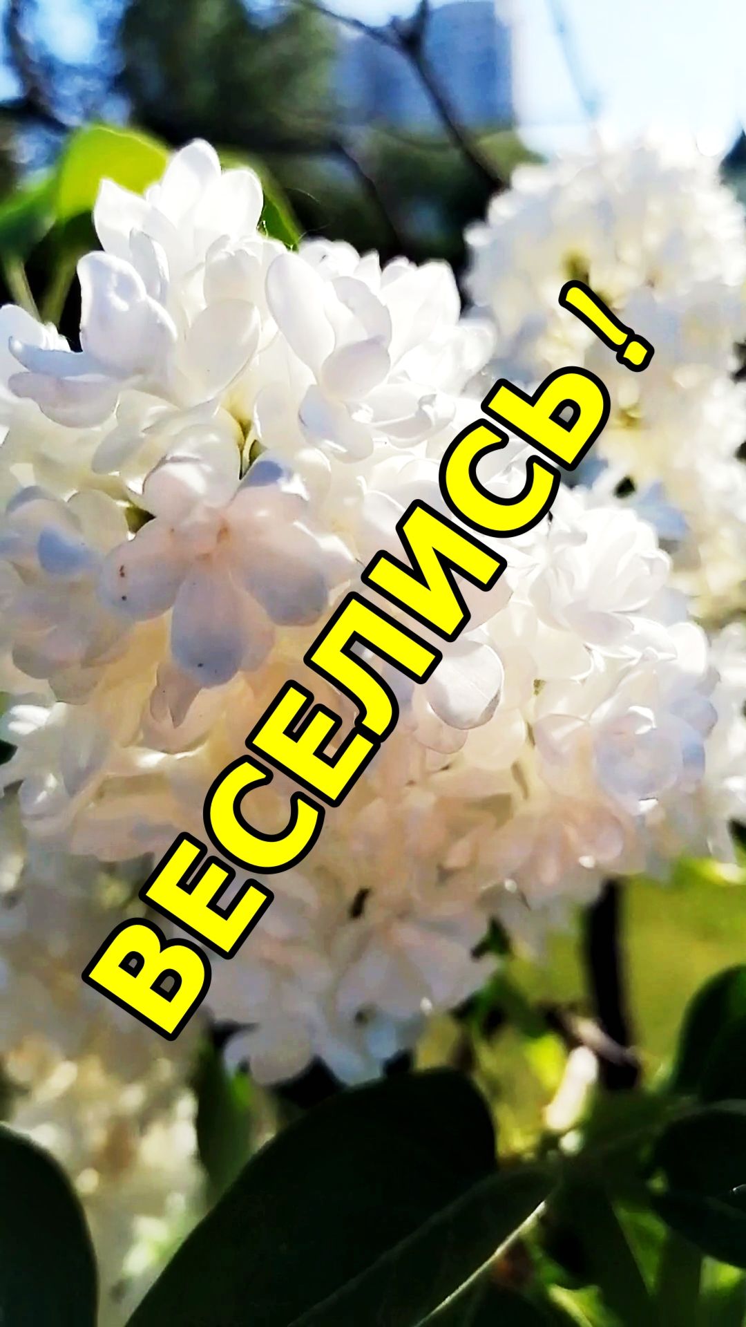 ВЕСЕЛИСЬ!🤩 смотреть онлайн
