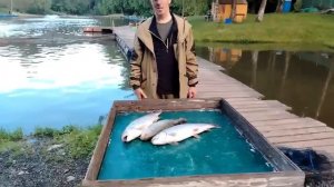 25.05.26 г. РК Волна.