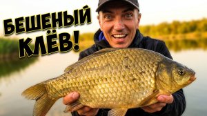 БЕШЕНЫЙ КЛЕВ КАРАСЯ! Доставал одну за другой на пружину
