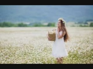 26 мая - Лукерья Комарница. Традиции и народные приметы