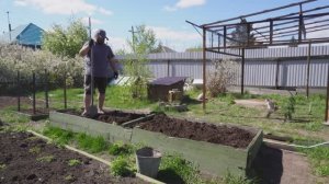 ОГУРЦОВ БУДЕТ В ИЗБЫТКЕ! ЕСЛИ ПРАВИЛЬНО УХАЖИВАТЬ ЗА НИМИ