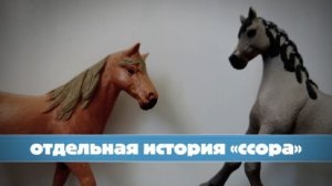 отдельная история «Сорра» #лошади шляйх
