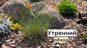 Сад в конце мая! Прогулка, обзор новых посадок!