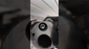 1000013967.mp4