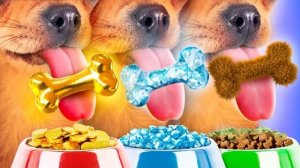 🐶 МНЕ ПОДАРИЛИ ВОЛШЕБНОГО ПИТОМЦА?! 😱 Мой брат устроил БЕЗУМНЫЙ ЭКСПЕРИМЕНТ втайне от всех!