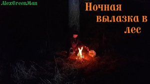 Ночная вылазка в лес