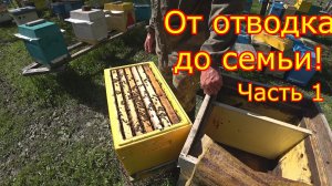 От ОТВОДКА До СЕМЬИ! часть1