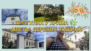 Атмосферная видеоэкскурсия. Гуляю по территории храма, смотрю на цветы, кусты и деревья.