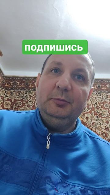 Седьмой день создания народных услуг